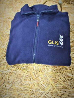 Fleece vest